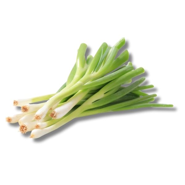 Spring Onion