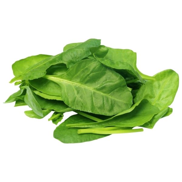 Kankun (Water Spinach)