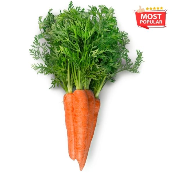 Carrot