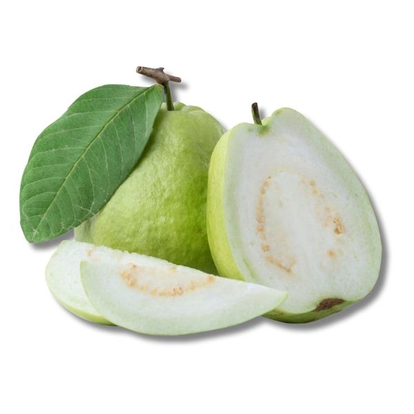 Fresh Guava