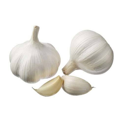 Imported Garlic