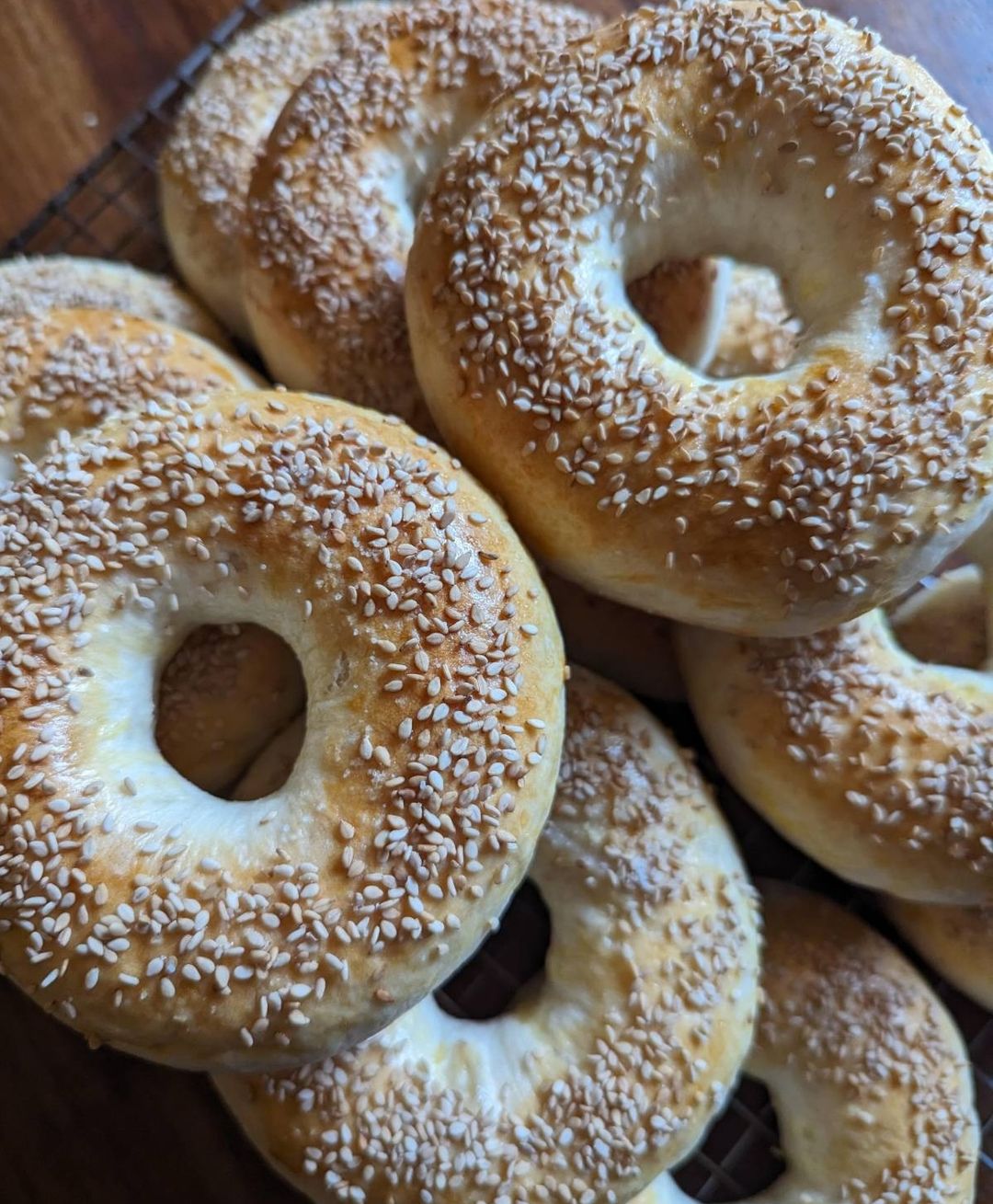 Sesame Seed Bagels - 1 Dozen