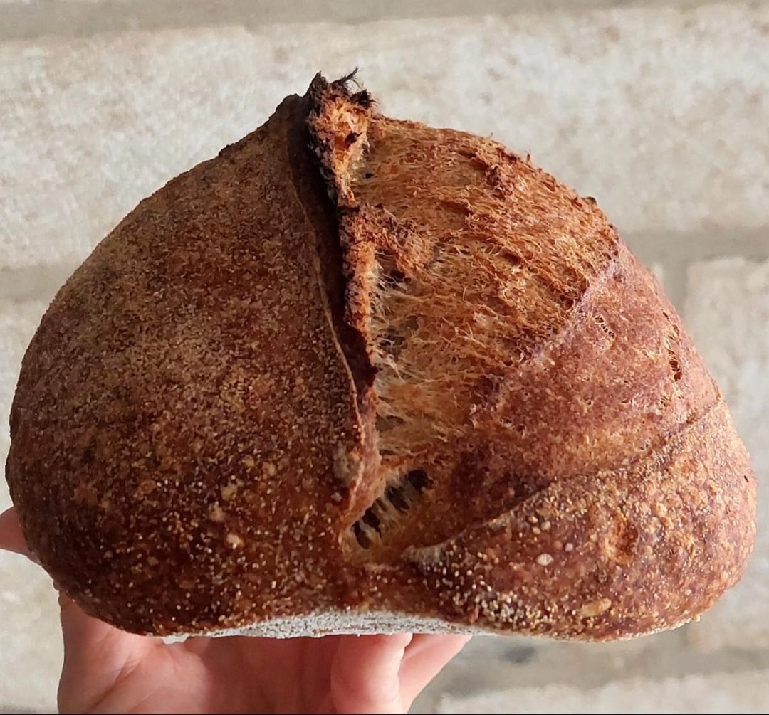 Whole wheat sourdough bread خبز الساوردو (القمح الكامل)