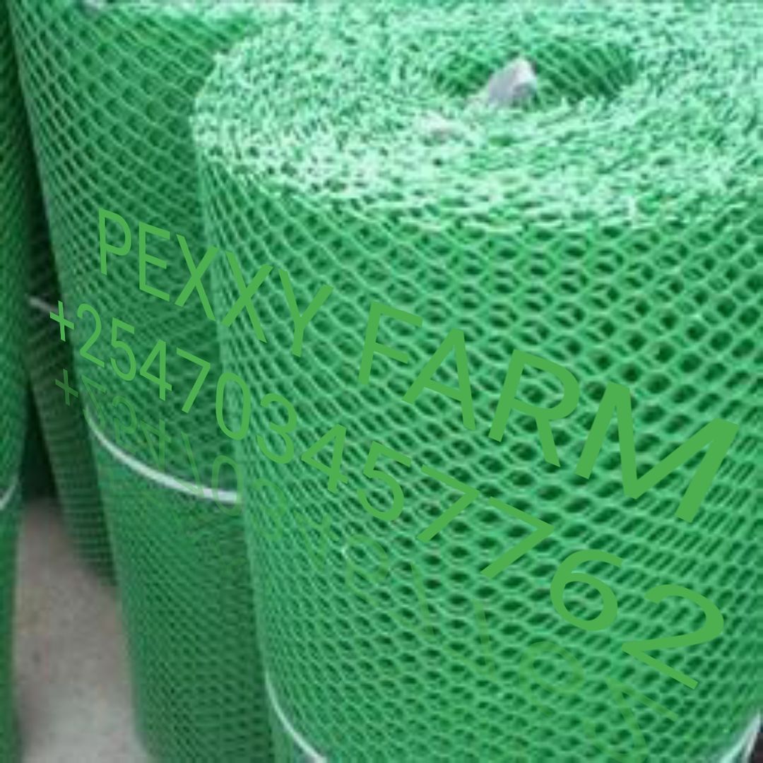 Plastic poultry mesh