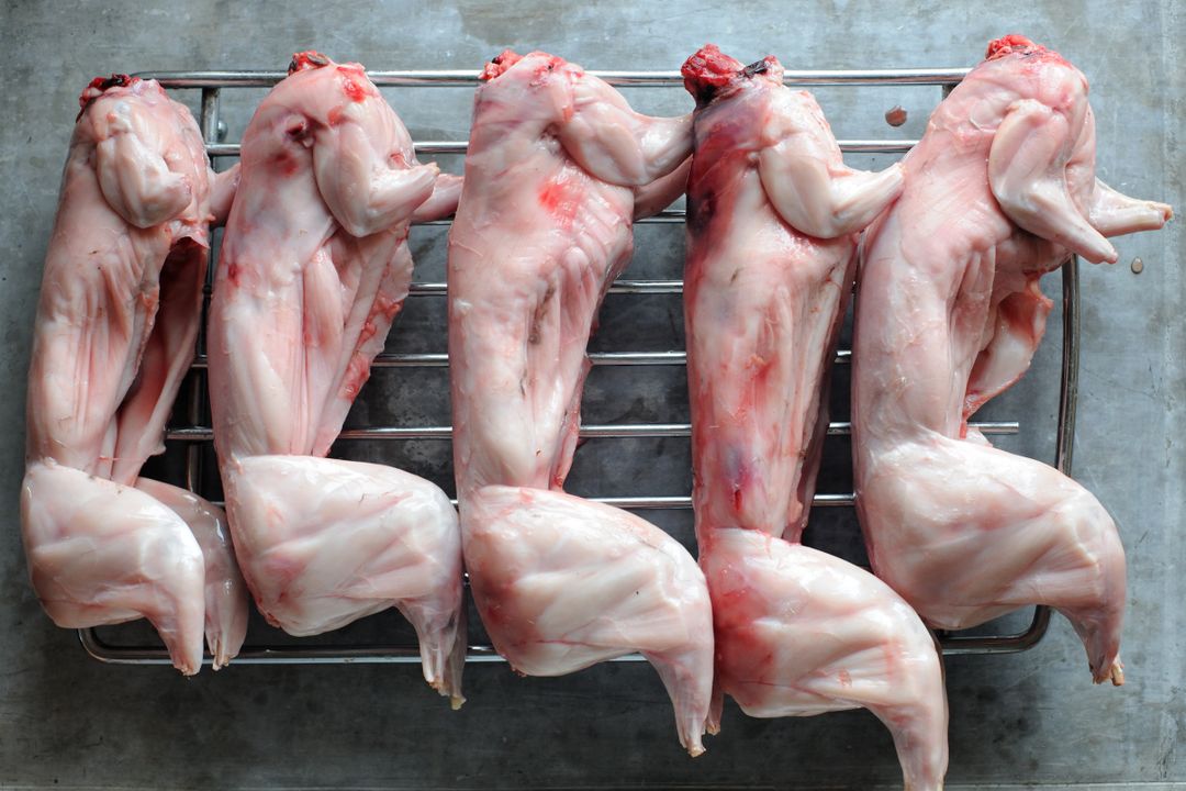 Rabbits meat