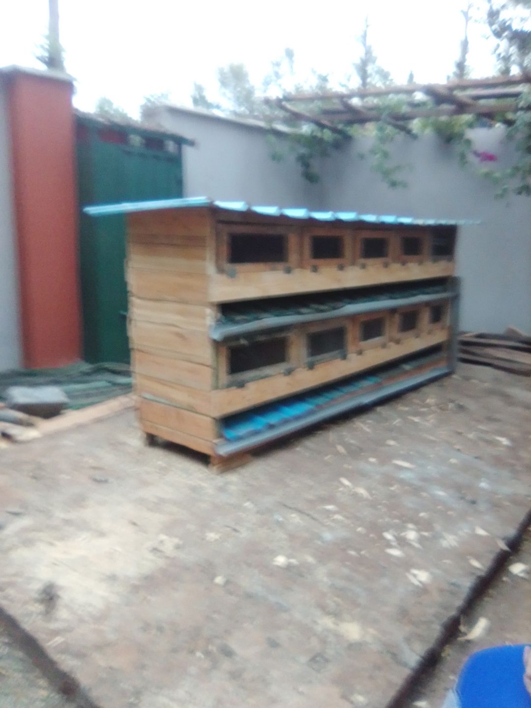 Self cleaning wooden cages