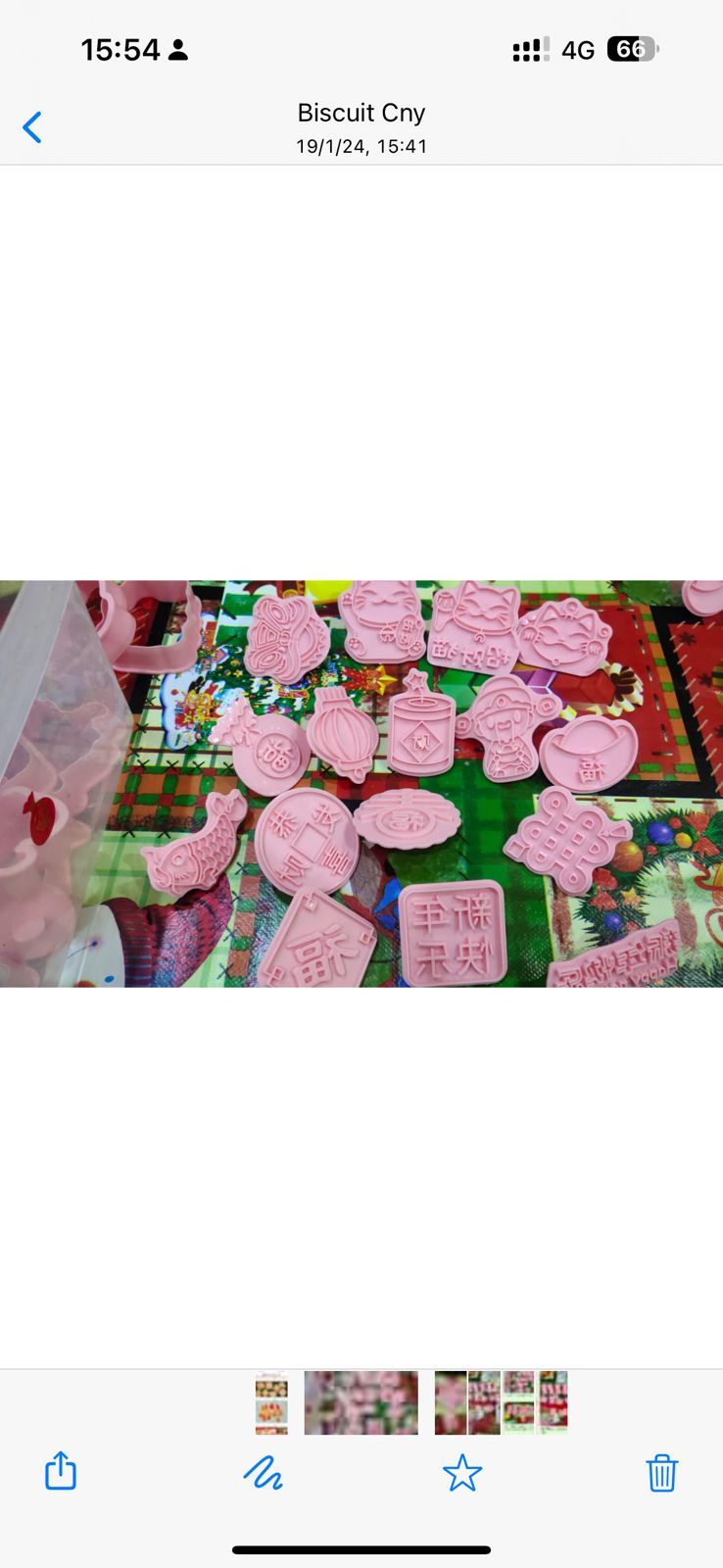 cny royal icing biscuit 1