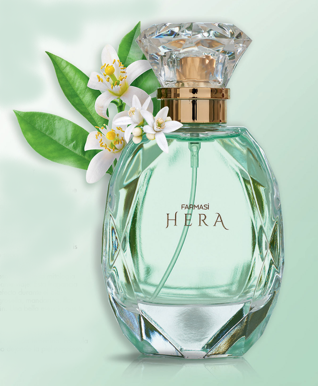 HERA EDP For Women 65 ml عطر المرأة القوية هيرا للنساء