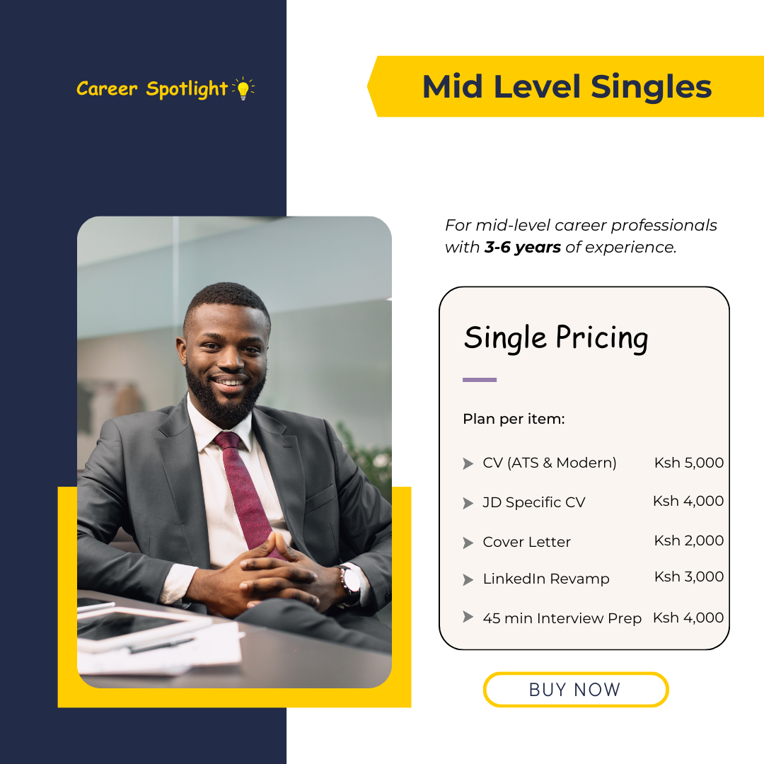 Mid Level Single Package Job Specific CV Service 