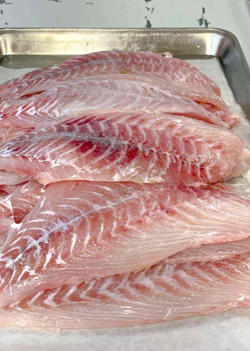 Mutton Snapper Fillet 2lb (Vacuum Sealed)