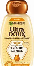 GARNIER TRESORS DE MIEL
