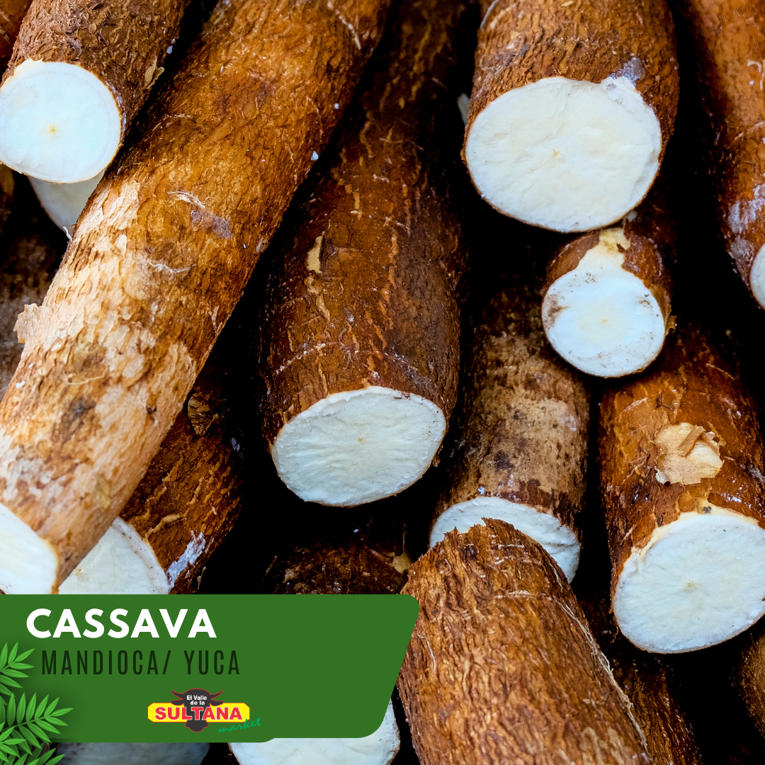 Cassava 