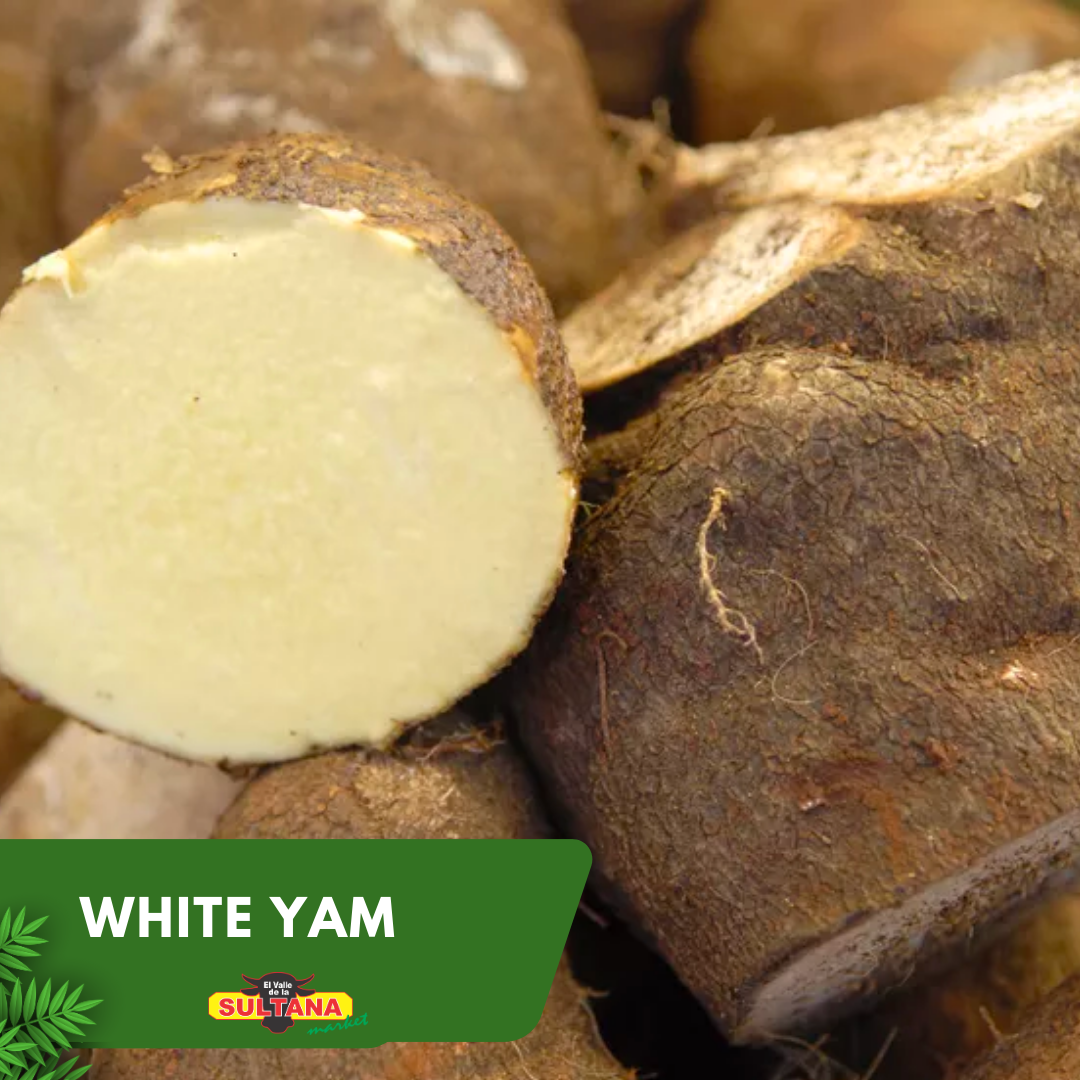 White Yam