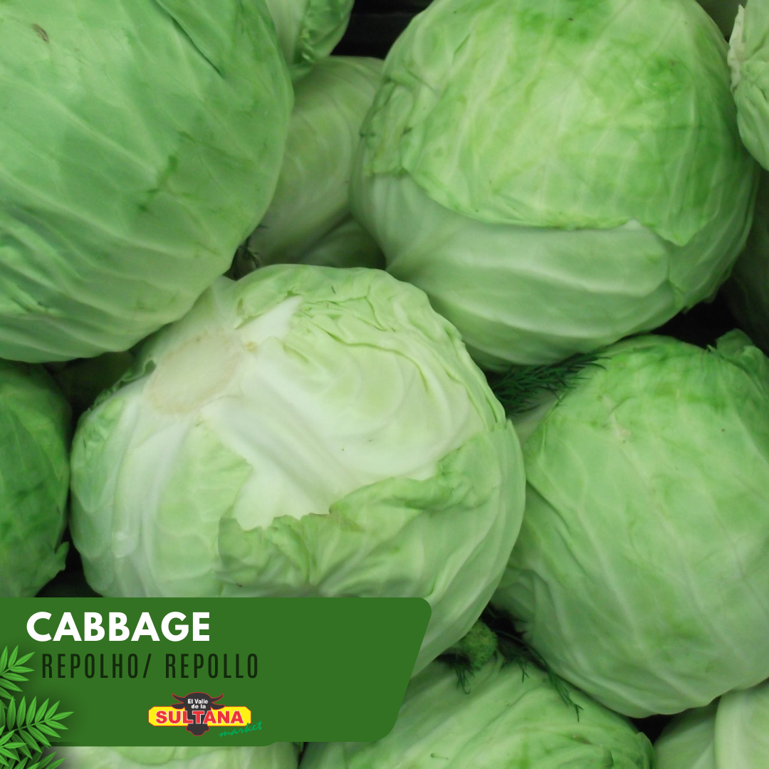 Cabbage