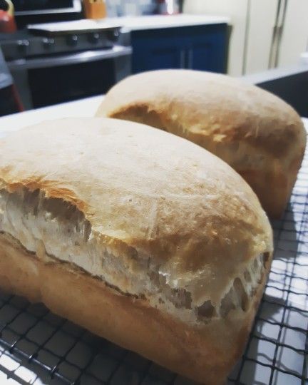 Wholewheat Loaf