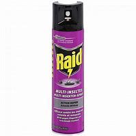 RAID MULTI INSECTES KILLER