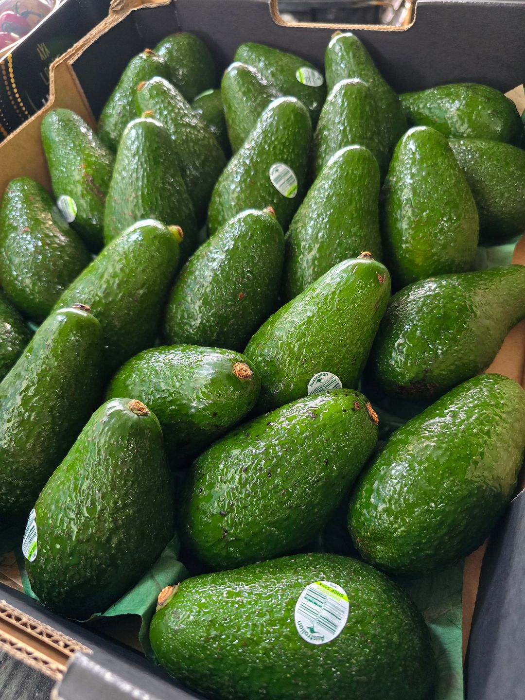 Aust Avocado (4 per set)