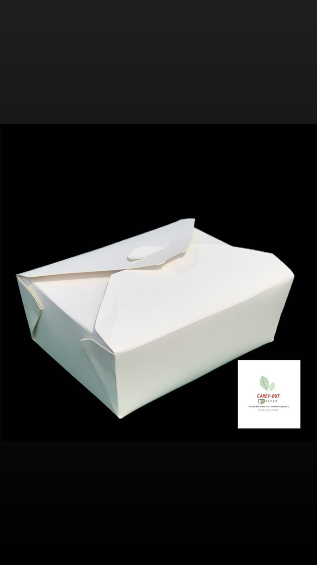 PLAIN WHITE 1183ml TAKEOUT FOOD PAILS 