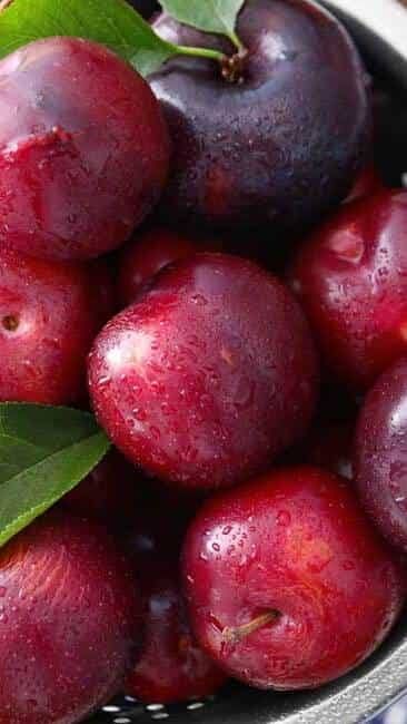 PLUMS 1KG