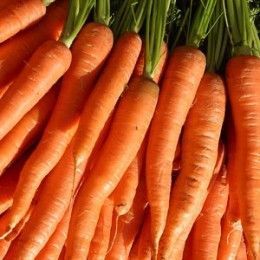 Carrots