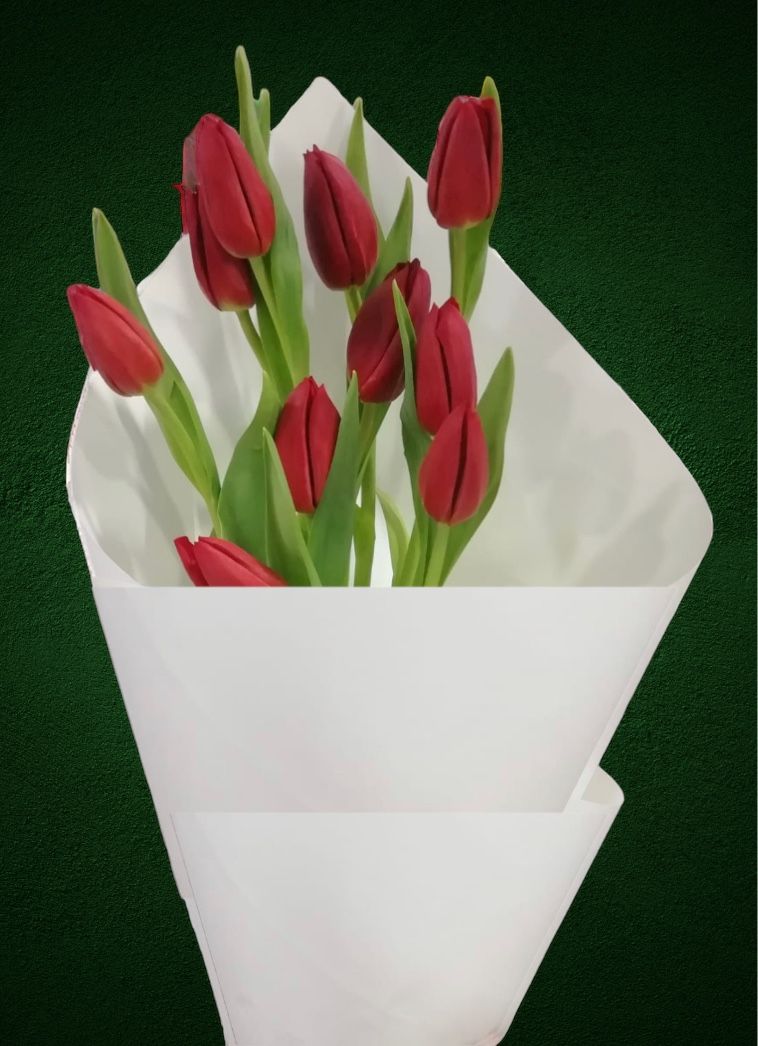 RedTulip