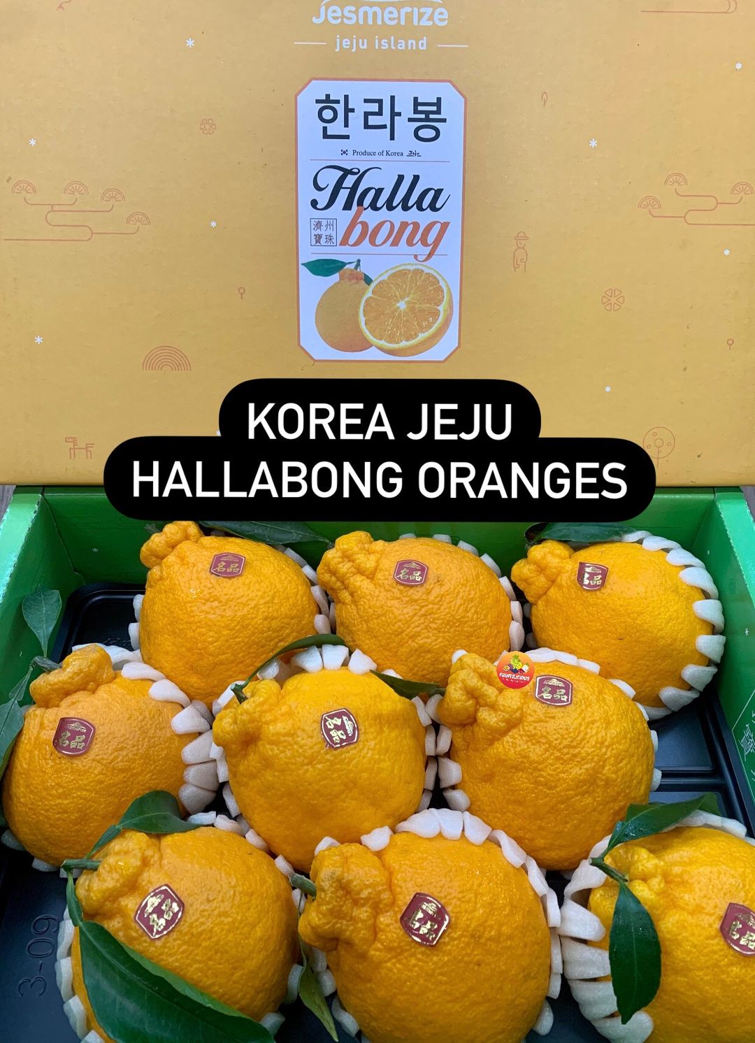 KOREA JEJU HALLABONG MANDARIN ORANGES