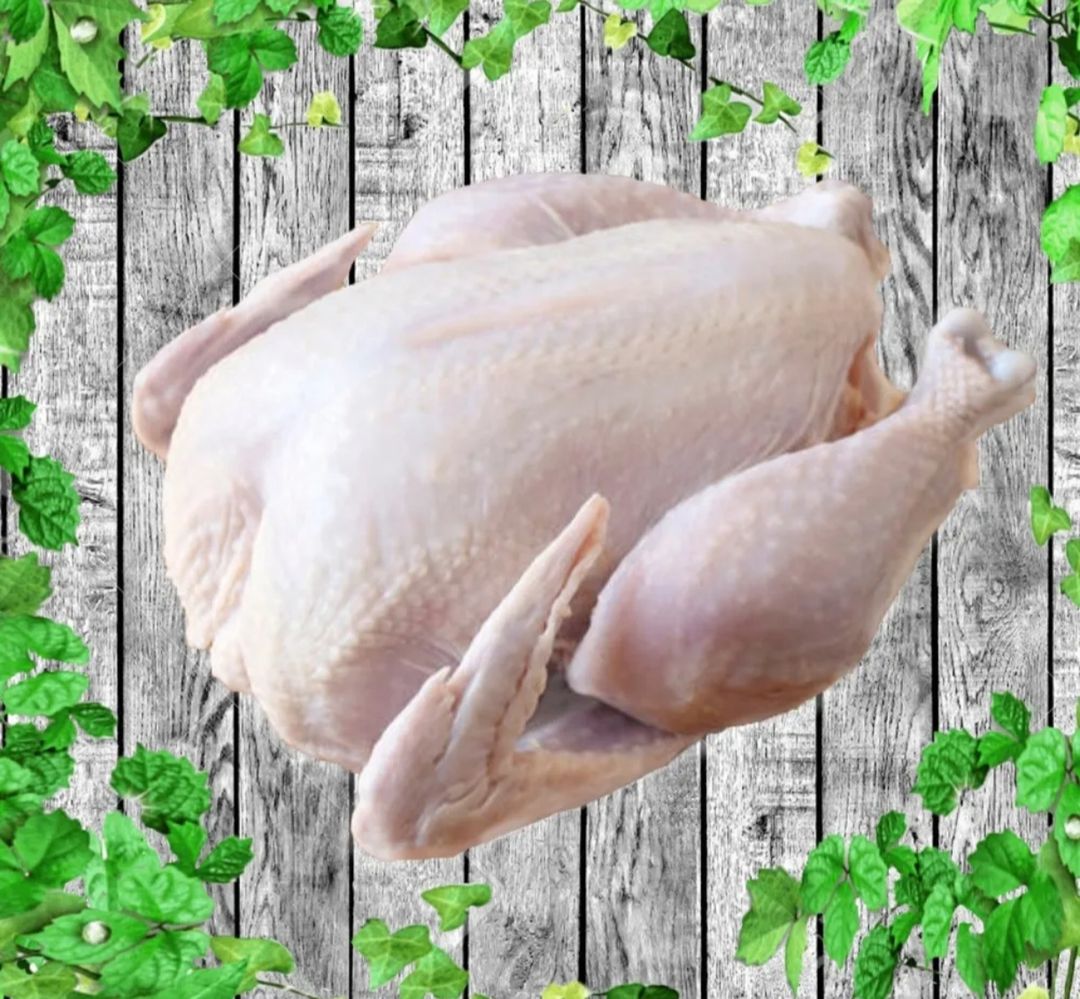 A- Ayam Beku 1.3Kg 