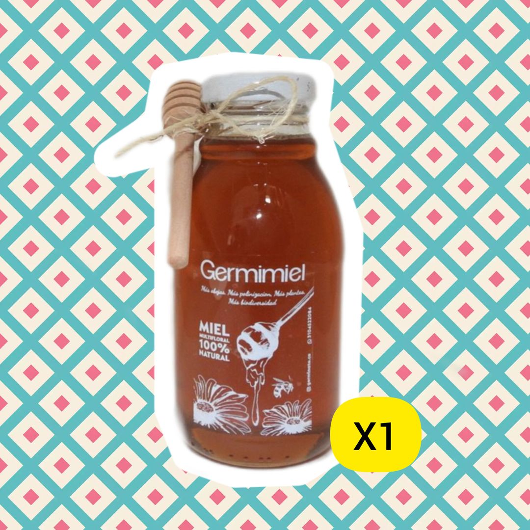 Miel 100% de Abejas - 1x 400gr