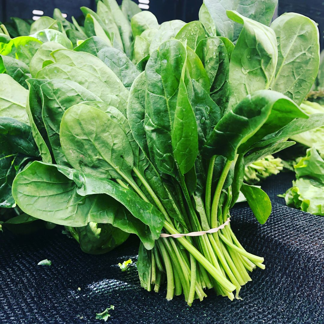 Organic Spinach (Per Bunch)