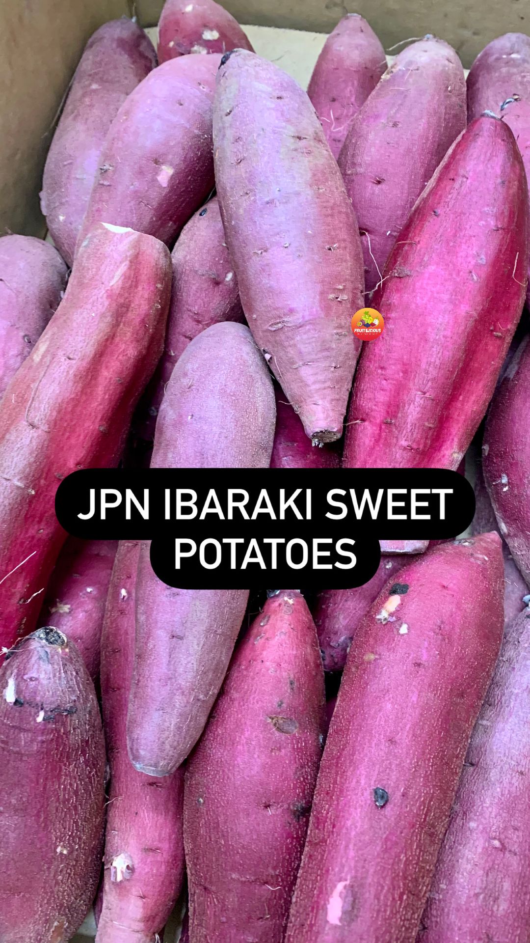 JPN IBARAKI YELLOW SWEET POTATOES