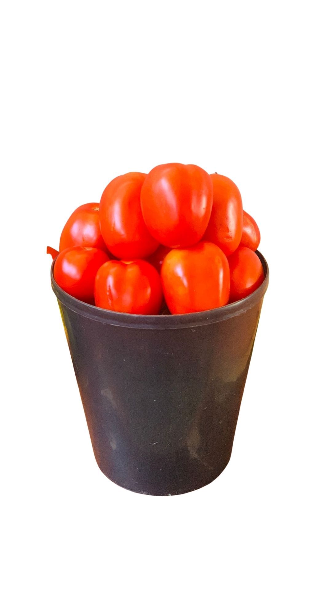 tomate maduro 