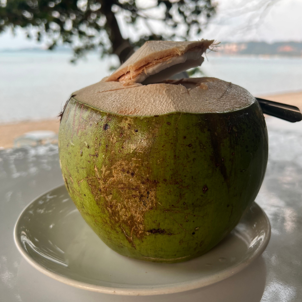 Organic Coconut Medium