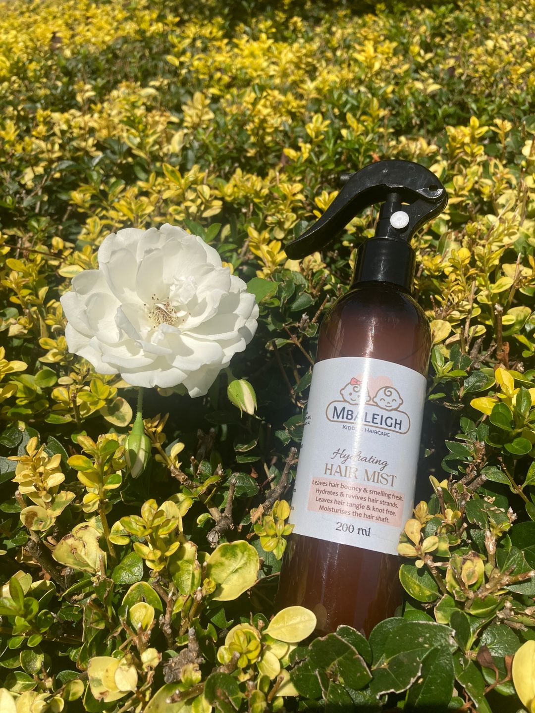 Hydrating/Detangling Hair Mist