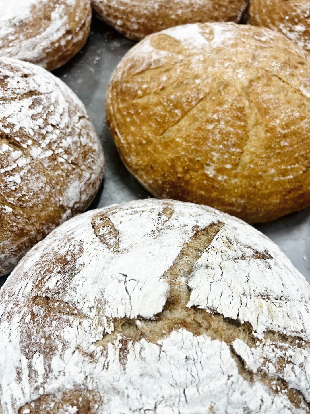 Country Loaf 