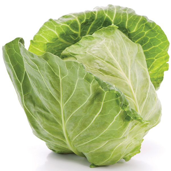 Cabbage