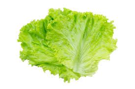 Lettuce 