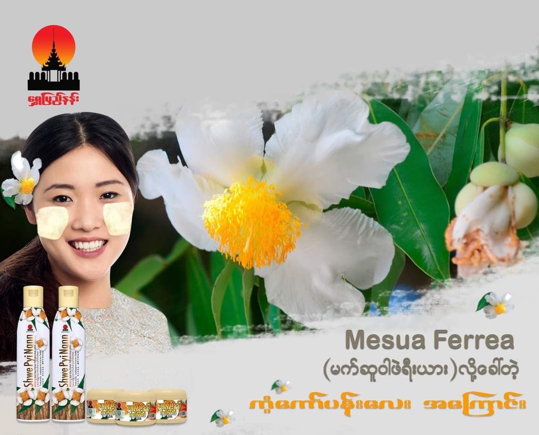 Shwe Pyi Nann_ကံ့ကော်ဝတ်ဆံ Body Lotion