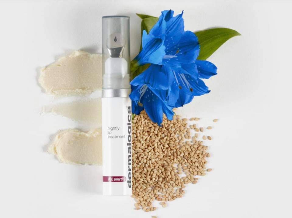 Dermalogica_Nightly Lip Treatment
