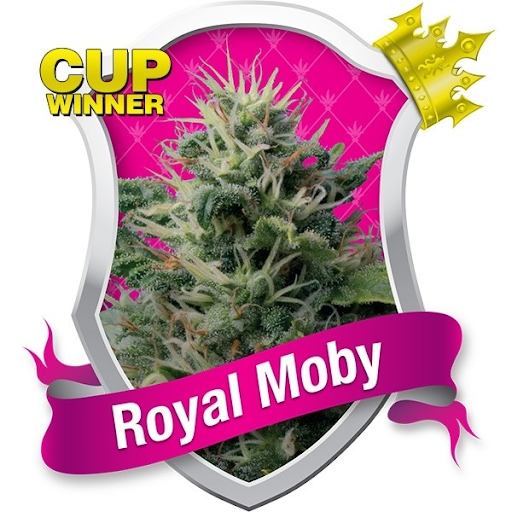 Royal Moby