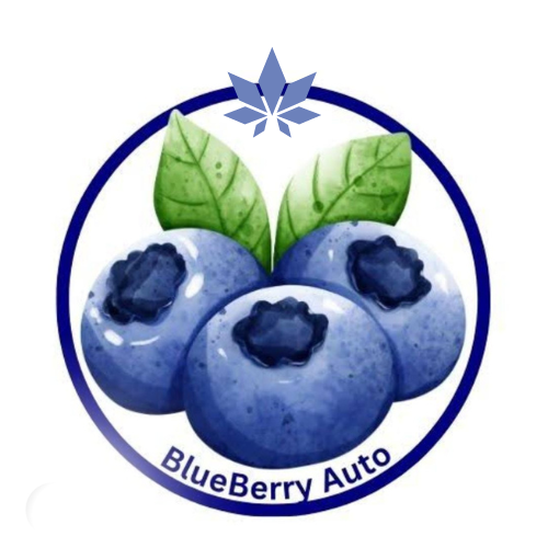 Auto Blue Berry