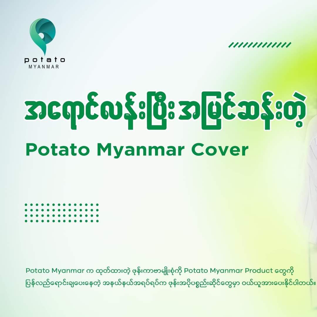 Potato Myanmar_Summer Case Collection