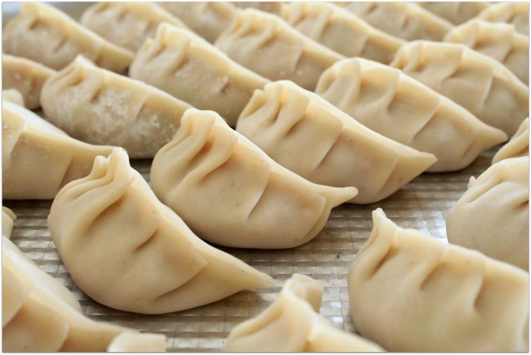 Pork Dumpling