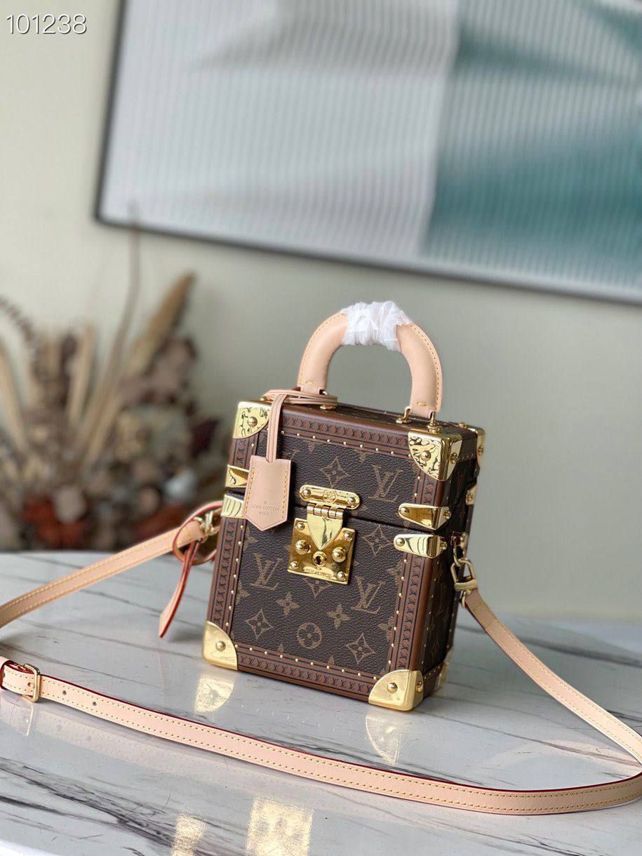  LOUIS VUITTON Camera Box bag