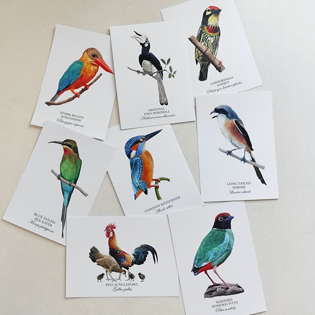 Birds of Singapore II Postcards (Set of 8)