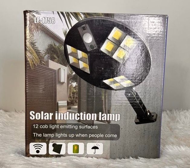 SOLAR INDUCTION LAMP