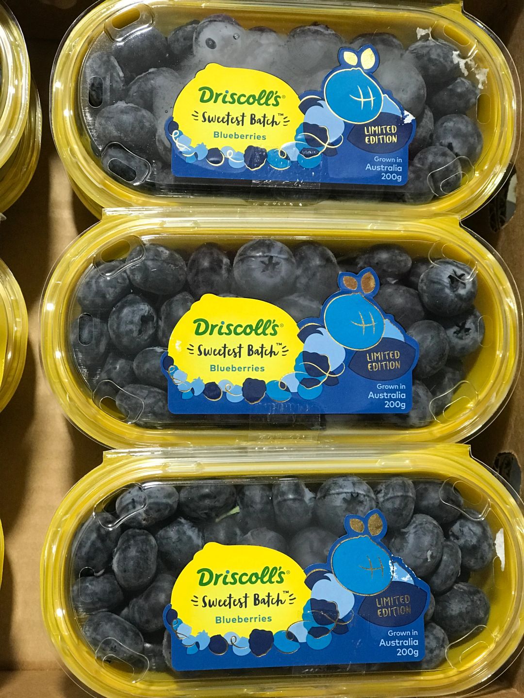 Driscoll Limited Edition Jumbo Blueberries 