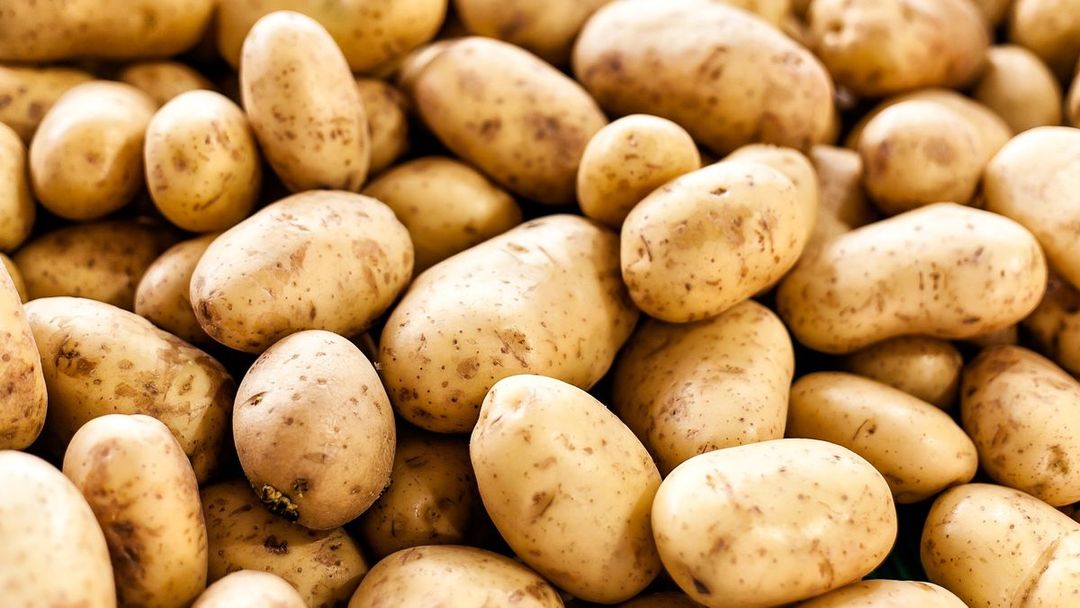 Potatoe (English) 