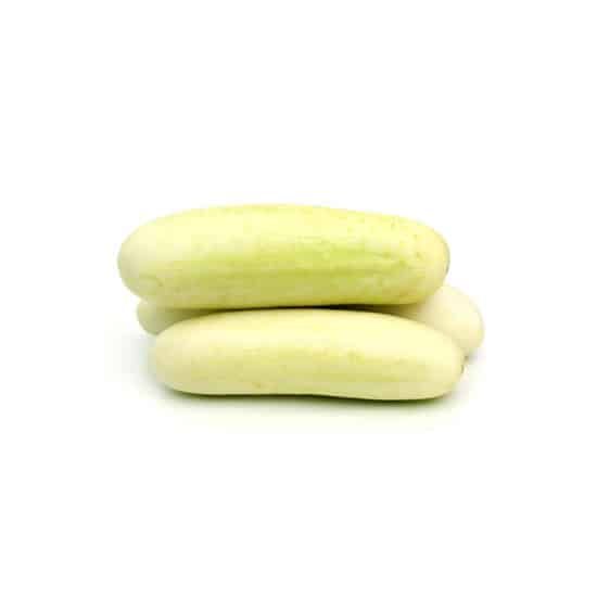 White Cucumber