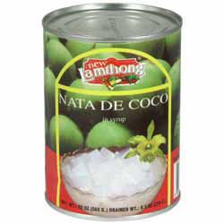 New Lamthong Nata de Coco in Syrup 565g