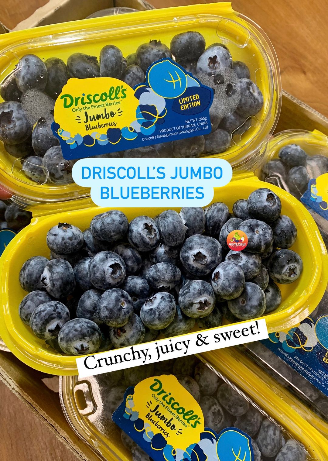 DRISCOLL’S JUMBO BLUEBERRIES (Limited Edition)